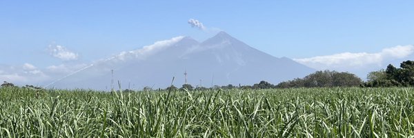 benfossen Profile Banner