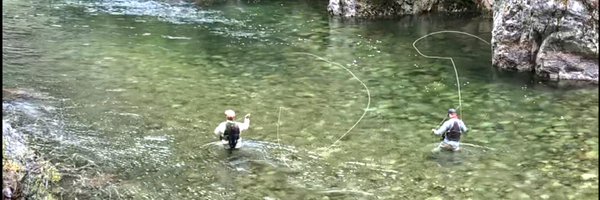 MOX13 Profile Banner