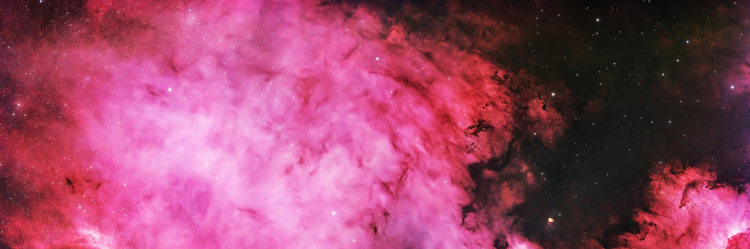 TizzyGremlin's profile banner image