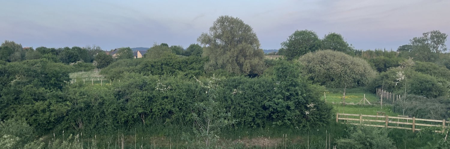 phil_blakey's profile banner image