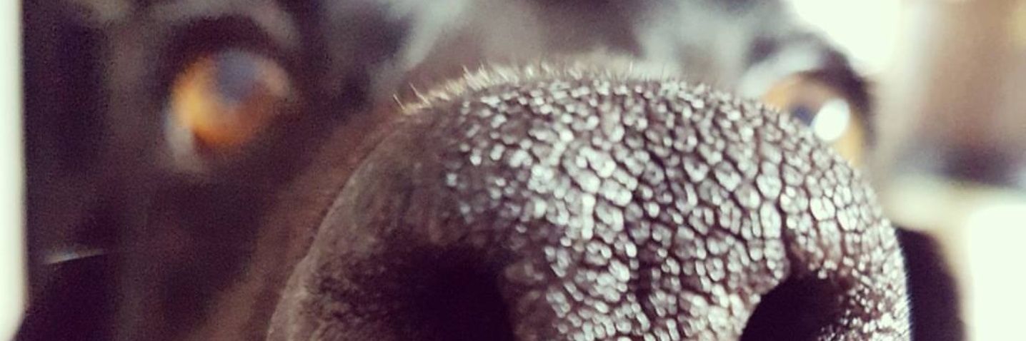 kealan17's profile banner image