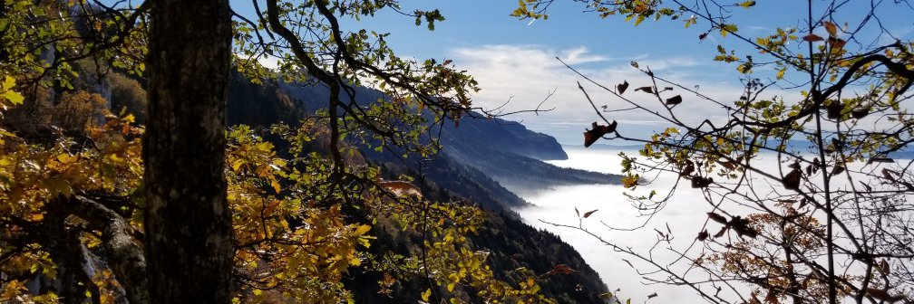 Arturs Logins banner