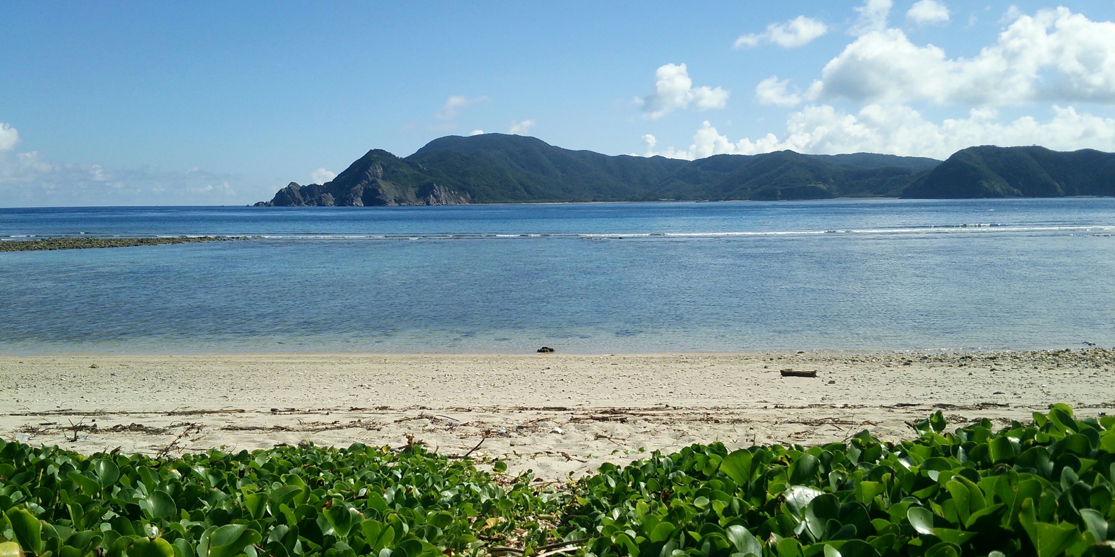 tkcm0429's profile banner image