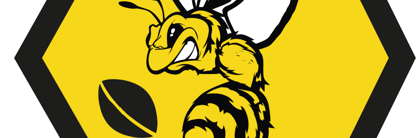 BVBeesARLFC's profile banner image