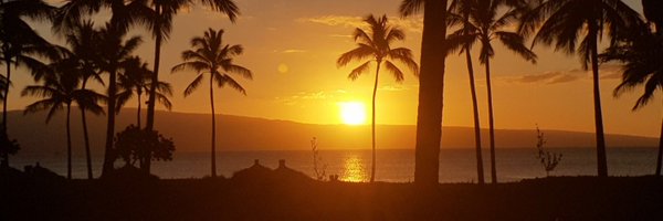 m_predl Profile Banner