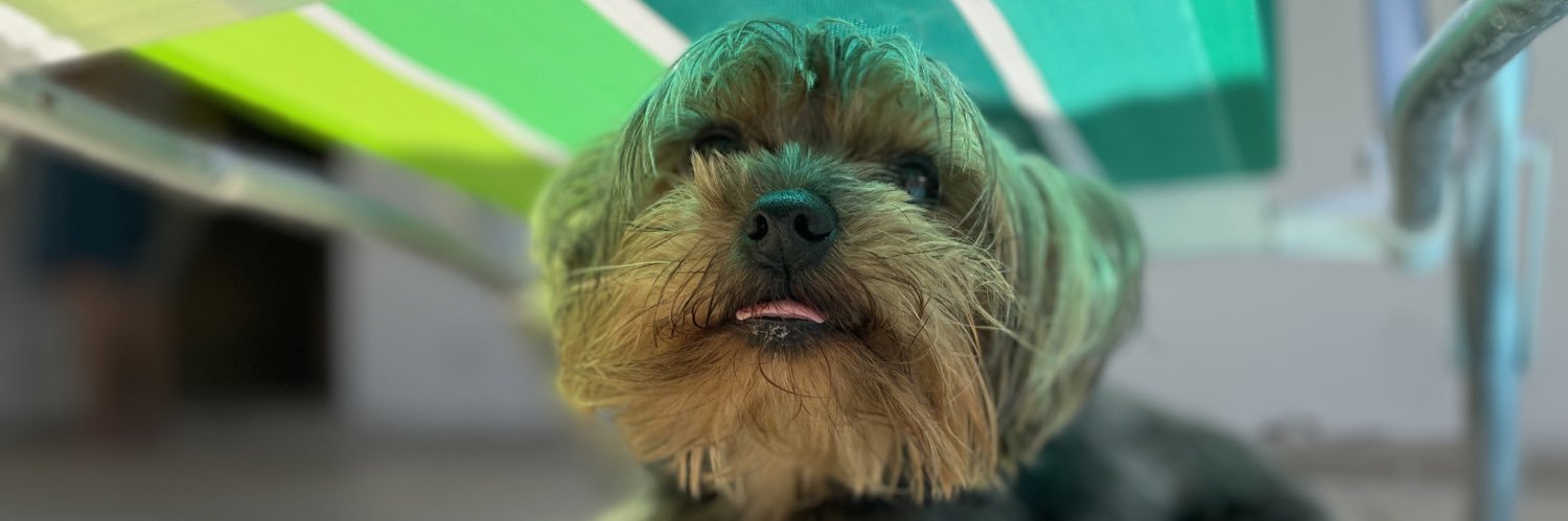 laurazanonc's profile banner image