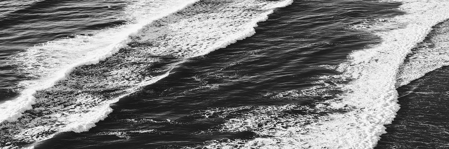 madisonschroed4's profile banner image