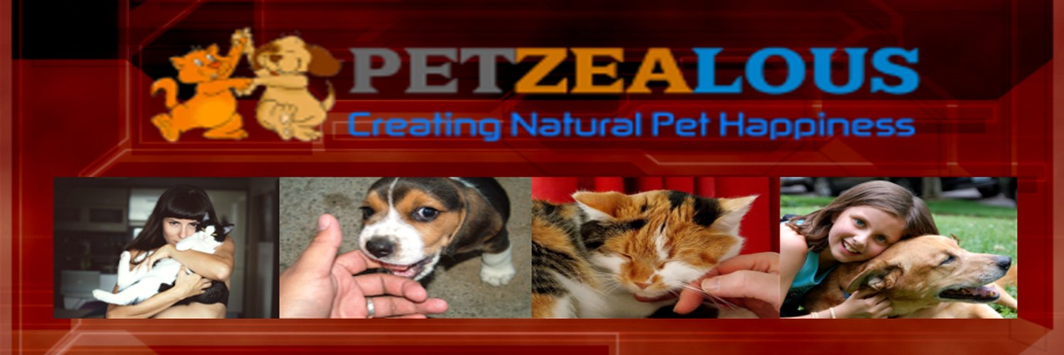 petzealous's profile banner image