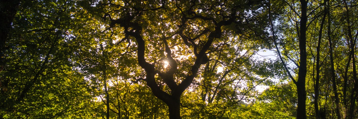 Boy named Ceri banner