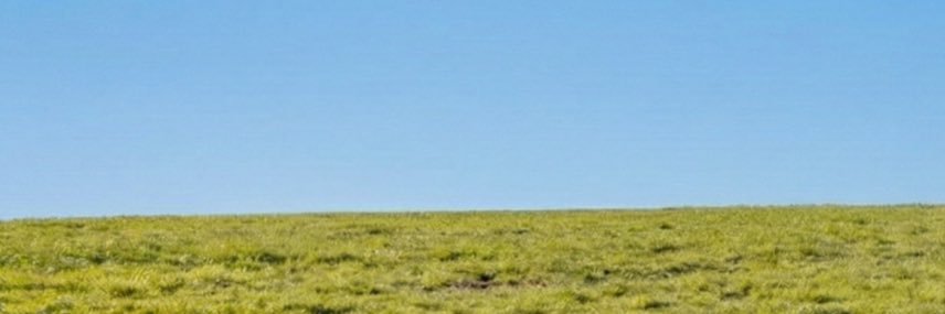 brett goldstein banner