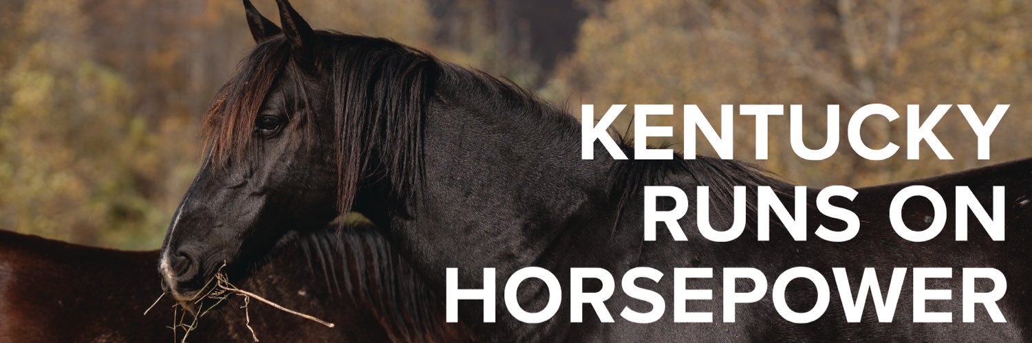 horseswork's profile banner image