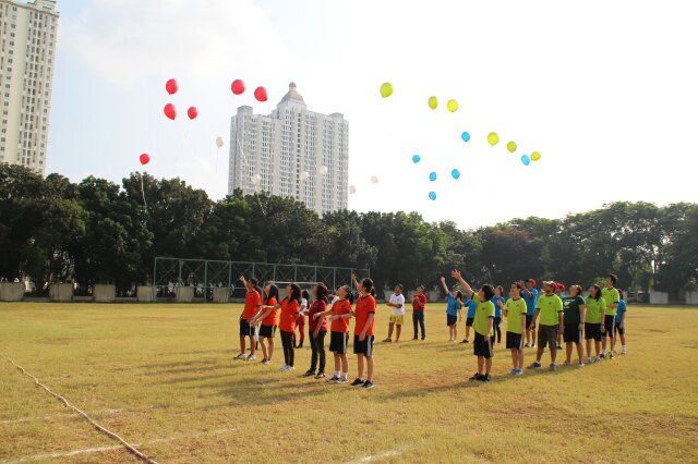 Graceila Nelwan banner