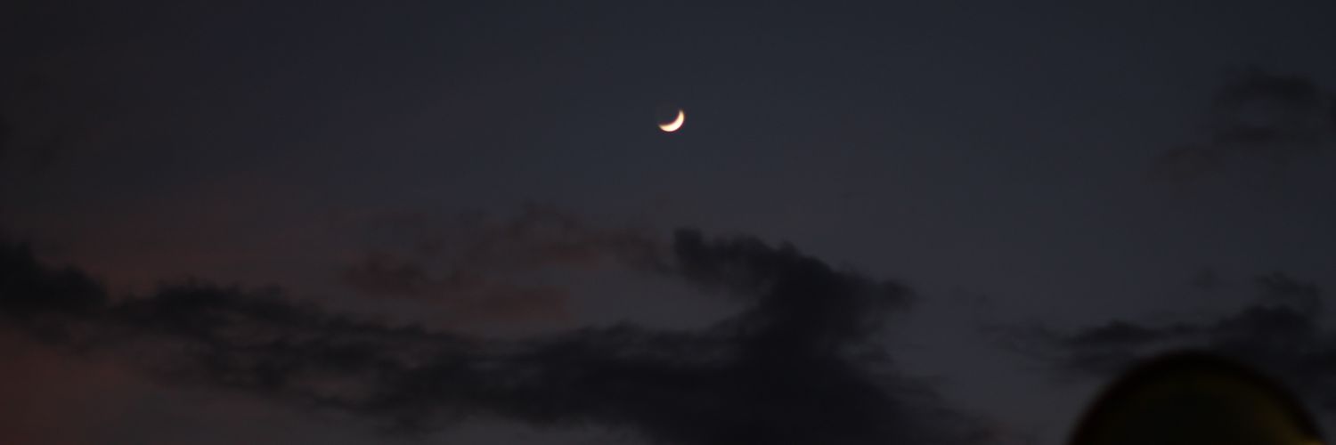 LauraBarros_L's profile banner image