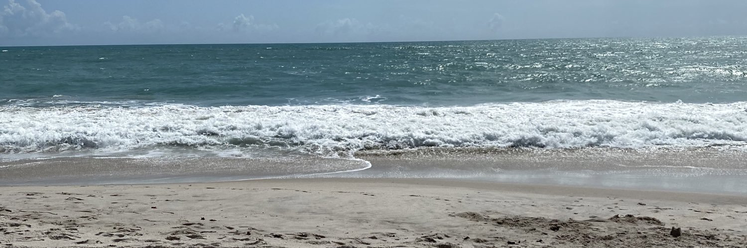 Beachside Montessori banner