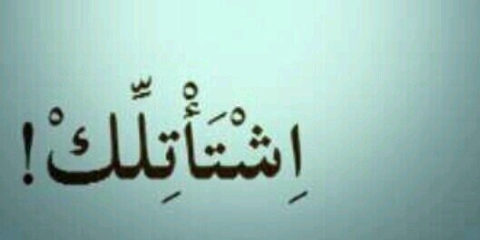 mohand056's profile banner image