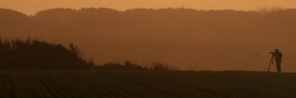 AvesBE Profile Banner