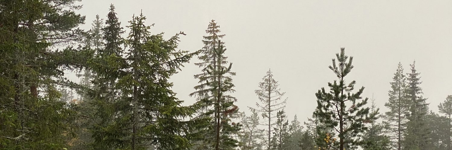 mcmio's profile banner image