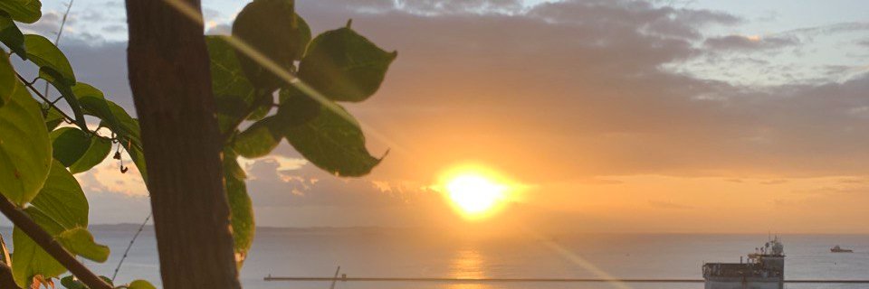 vianasrafa's profile banner image