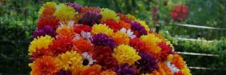 preetityagi08's profile banner image
