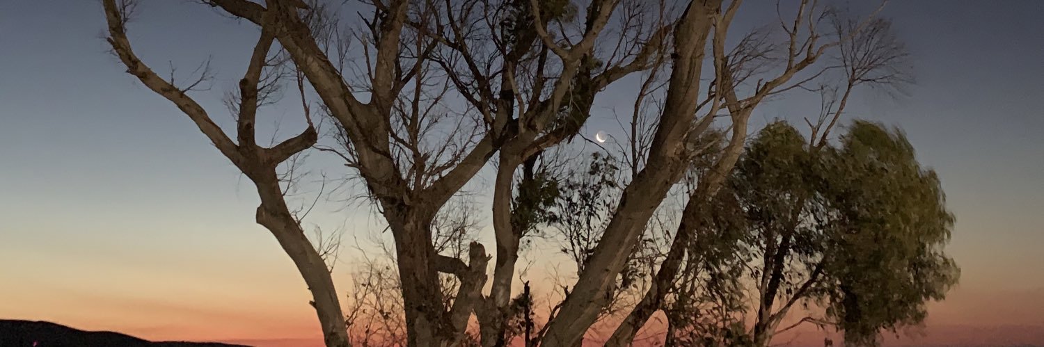 Connor Dibblin banner