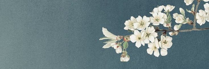 ترگل banner