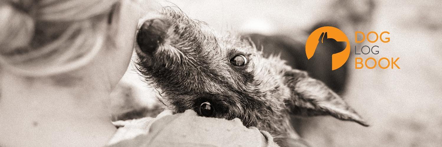 DOGLOGBOOK banner