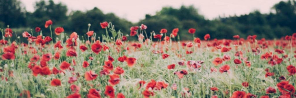 dini_enha's profile banner image