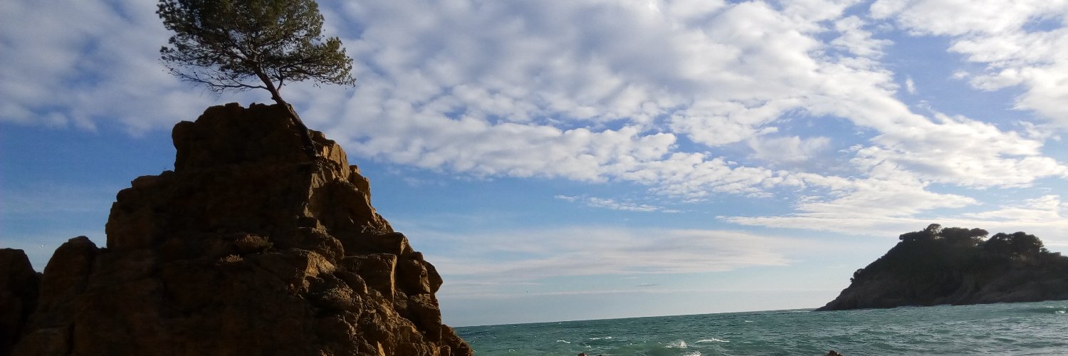 Mariona Illamola Dausà 🎗 banner