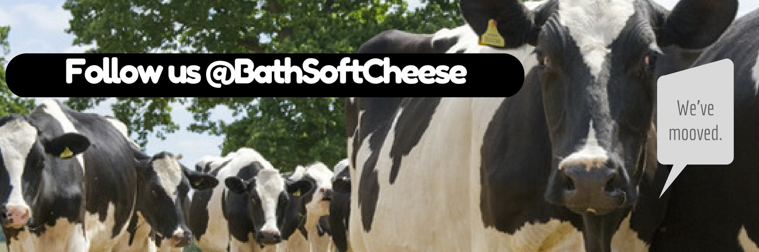 BathCheese's profile banner image