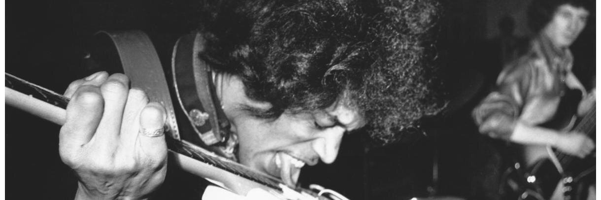 ZiplockHippy's profile banner image