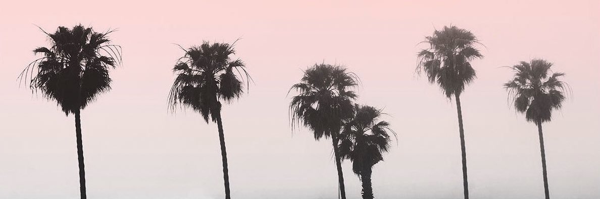 amyhill_8's profile banner image