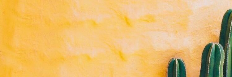 garriguees's profile banner image
