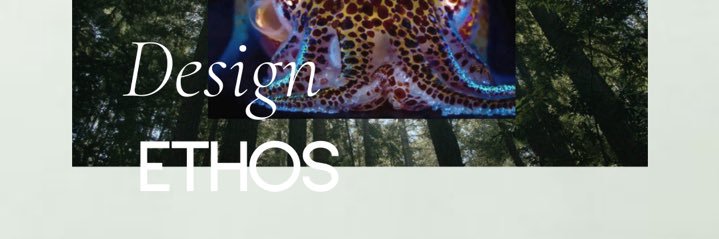 bregjecox's profile banner image