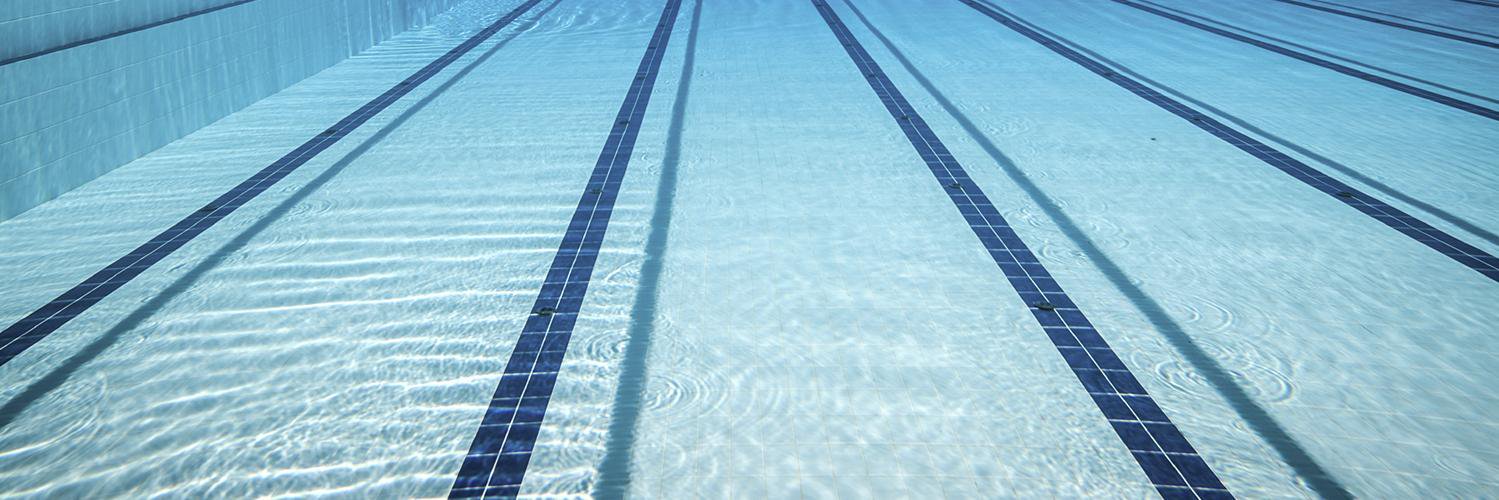 Bognor Swimming Club banner