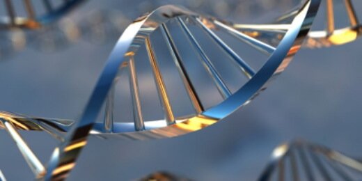 Bionexus's profile banner image