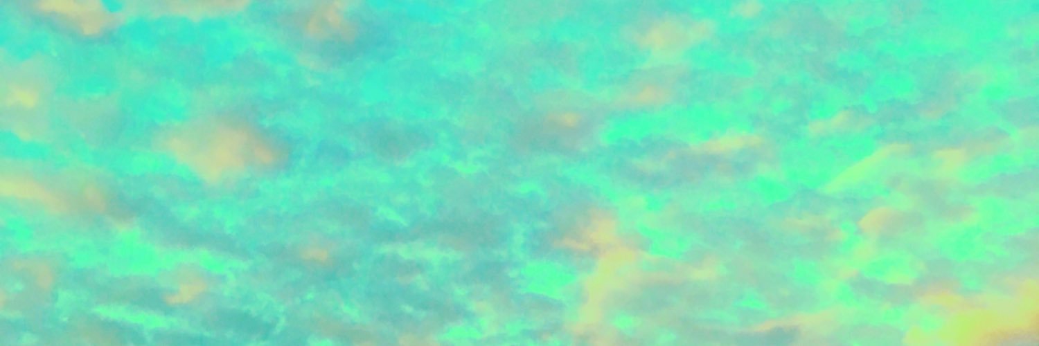 ne2ppoi's profile banner image