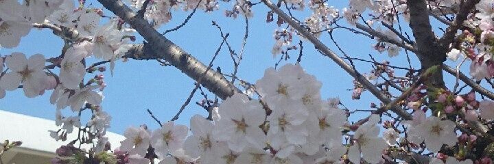 ScienceCourse's profile banner image