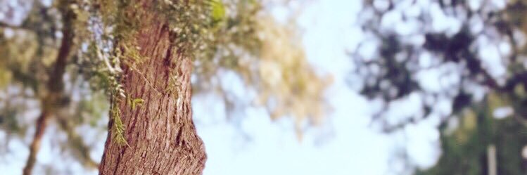 Javi22AlfaroC's profile banner image