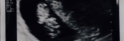 frankjoseph__'s profile banner image