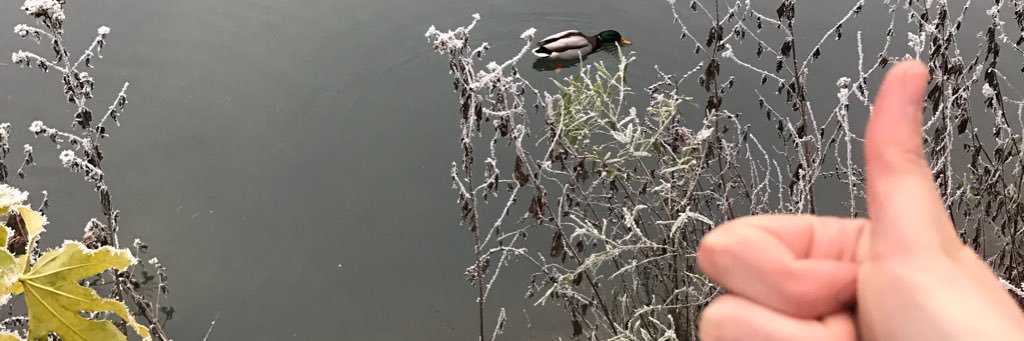 Jordan J. Sparkes banner