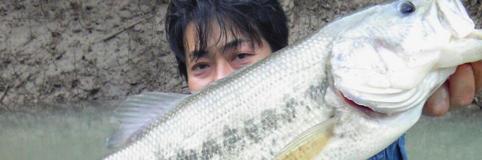 JunjiJt's profile banner image