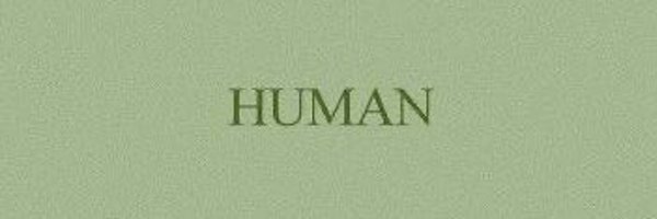 nranzl Profile Banner