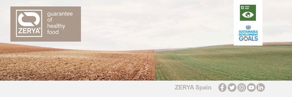 ZERYASpain Profile Banner