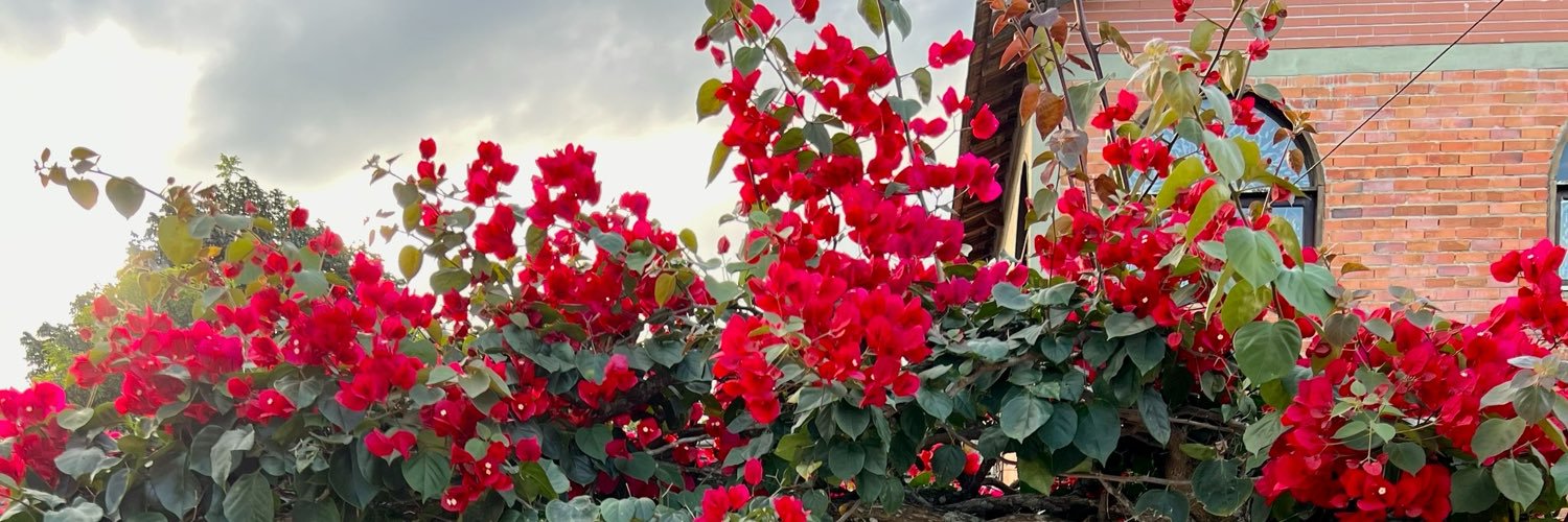 eujott4's profile banner image