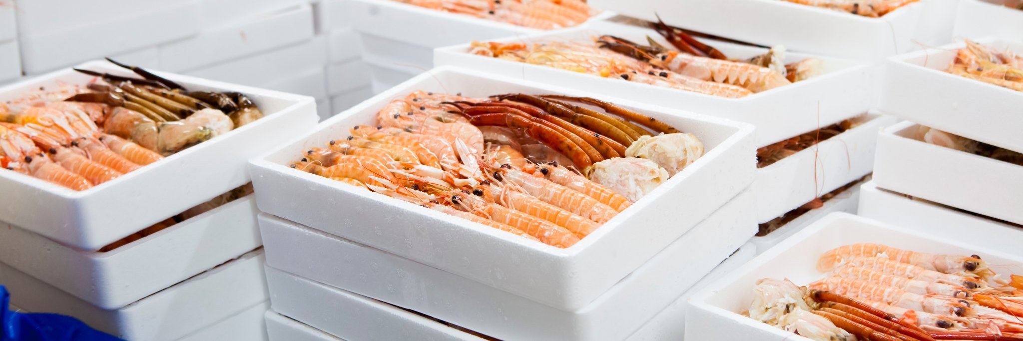Mariscos Apolo banner