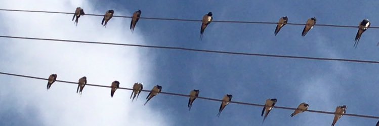nesibetyk1's profile banner image