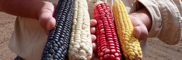 jonbetz Profile Banner