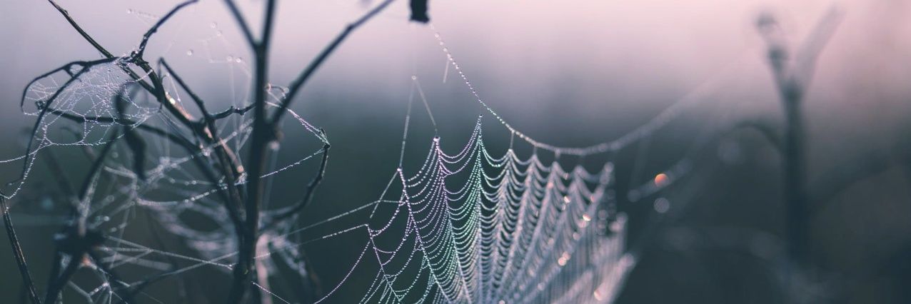 Труп Paпунцeль ☮️ banner