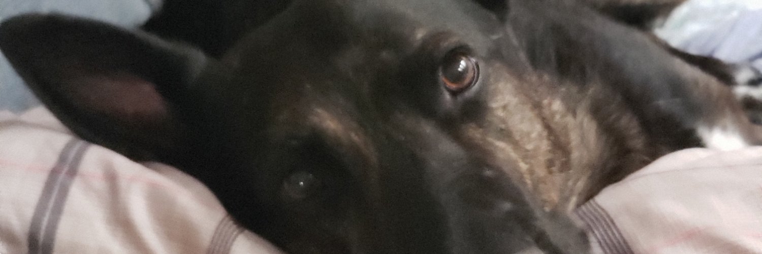 beccabomb69's profile banner image