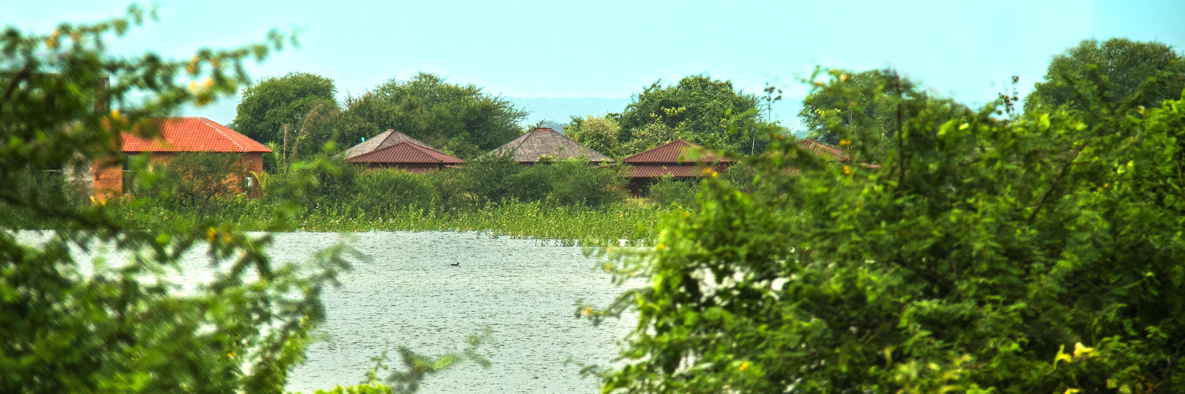 BFSafarilodge's profile banner image